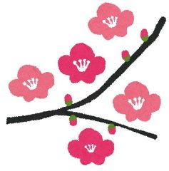 創作料理 じゅんの里の写真