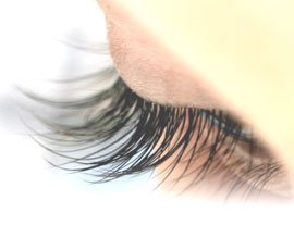 Fiora Private salon(Eyelash&Beauty)の写真