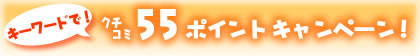 クチコミ - 55p記念