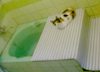 猫の手も借りたいinお風呂