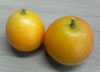 風邪予防に金柑食べてます。
