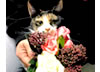 FOR YOU