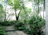 緑の庭園
