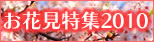 花見特集