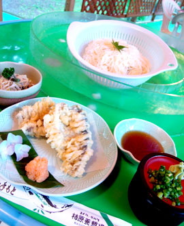 柿原養鱒場　そうめんセット