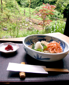 蕎麦　季里　桜海老辛味大根おろしそば