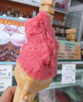 ジェラテリア　カプリ　プラムのシャーベット