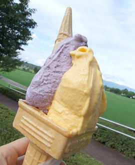 アイスクリームショップ　氷菓里　アイスダブル（キャロット＆ブルーベリー）