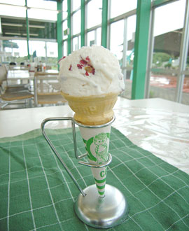 フラワーヒル菊池高原　花のアイス