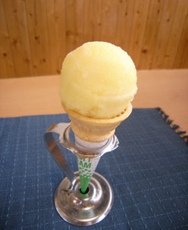 芦北町物産館　肥後うらら　甘夏アイス