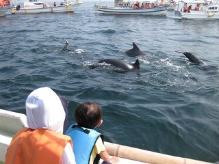 天草海鮮蔵 イルカウォッチングセンターの写真