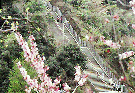 御坂遊歩道 日本一の石段の写真