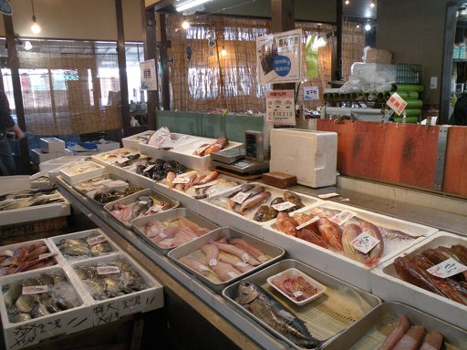 魚が好きになるお店 ご近所てくてく散歩 魚勢 食堂 熊本市 東区 ひごなび