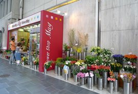 Flower Shop May 花 熊本市 中央区 ひごなび