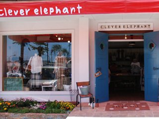 clever elephantの写真