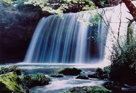 鍋ヶ滝公園の写真