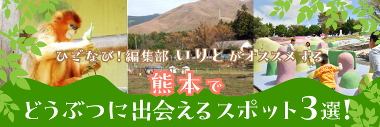 ひごなび！編集部いりとが選ぶ　どうぶつに出会えるスポット3選